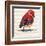 Chevron Baby Red Bird I-Patricia Pinto-Framed Art Print