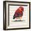 Chevron Baby Red Bird I-Patricia Pinto-Framed Art Print