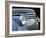 Chevy Grill Blue-Larry Hunter-Framed Photographic Print