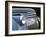 Chevy Grill Blue-Larry Hunter-Framed Photographic Print