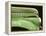 Chevy Streamline - Apple Green-Larry Hunter-Framed Premier Image Canvas