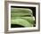 Chevy Streamline - Apple Green-Larry Hunter-Framed Photographic Print