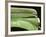 Chevy Streamline - Apple Green-Larry Hunter-Framed Photographic Print