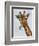 Chewing Giraffe 1-Fab Funky-Framed Art Print