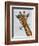 Chewing Giraffe 1-Fab Funky-Framed Art Print