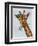 Chewing Giraffe 1-Fab Funky-Framed Art Print