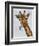 Chewing Giraffe 1-Fab Funky-Framed Art Print