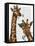 Chewing Giraffe Duo-Fab Funky-Framed Stretched Canvas