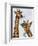 Chewing Giraffe Duo-Fab Funky-Framed Art Print