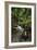 Chiang Mai 2-Michael De Guzman-Framed Photographic Print