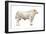 Chianini Bull, Beef Cattle, Mammals-Encyclopaedia Britannica-Framed Art Print