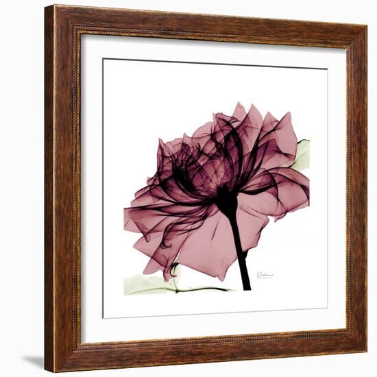 Chiant Rose 1-Albert Koetsier-Framed Premium Giclee Print