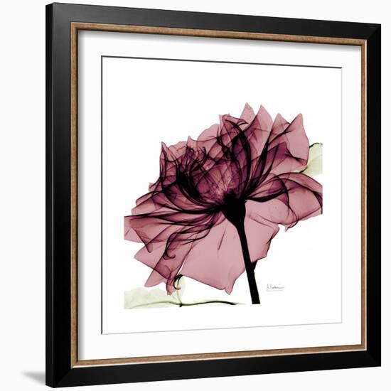 Chiant Rose 1-Albert Koetsier-Framed Premium Giclee Print