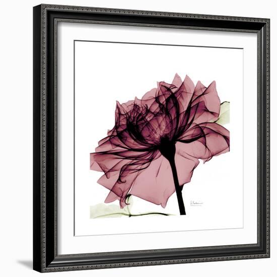 Chiant Rose 1-Albert Koetsier-Framed Premium Giclee Print