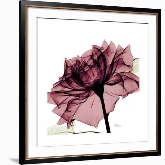 Chiant Rose 1-Albert Koetsier-Framed Premium Giclee Print