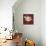 Chianti Behind Tulip-Diane Stimson-Art Print displayed on a wall