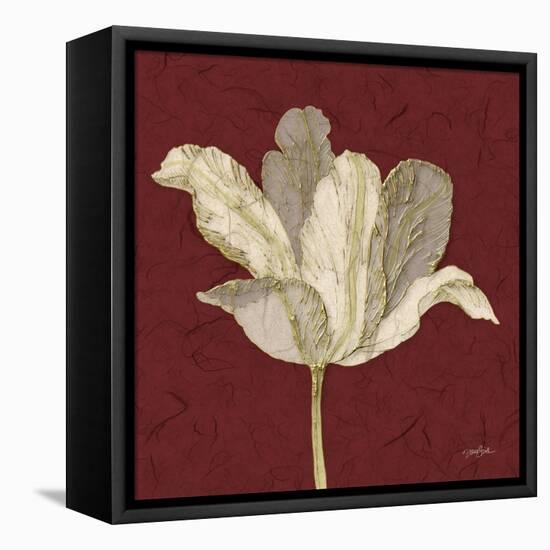 Chianti Behind Tulip-Diane Stimson-Framed Stretched Canvas