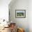 Chianti Classico, Villa Trasqua-Margaret Loxton-Framed Giclee Print displayed on a wall