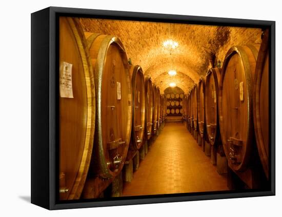 Chianti Classico-Shelley Lake-Framed Premier Image Canvas