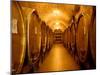 Chianti Classico-Shelley Lake-Mounted Photographic Print