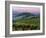 Chianti Dusk-Michael Swanson-Framed Art Print