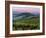 Chianti Dusk-Michael Swanson-Framed Art Print