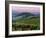 Chianti Dusk-Michael Swanson-Framed Art Print