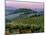 Chianti Dusk-Michael Swanson-Mounted Art Print