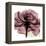 Chianti Rose 2-Albert Koetsier-Framed Stretched Canvas