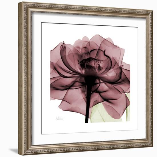 Chianti Rose 2-Albert Koetsier-Framed Premium Giclee Print