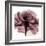 Chianti Rose 2-Albert Koetsier-Framed Premium Giclee Print