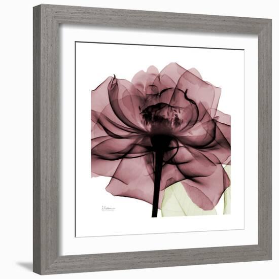 Chianti Rose 2-Albert Koetsier-Framed Premium Giclee Print