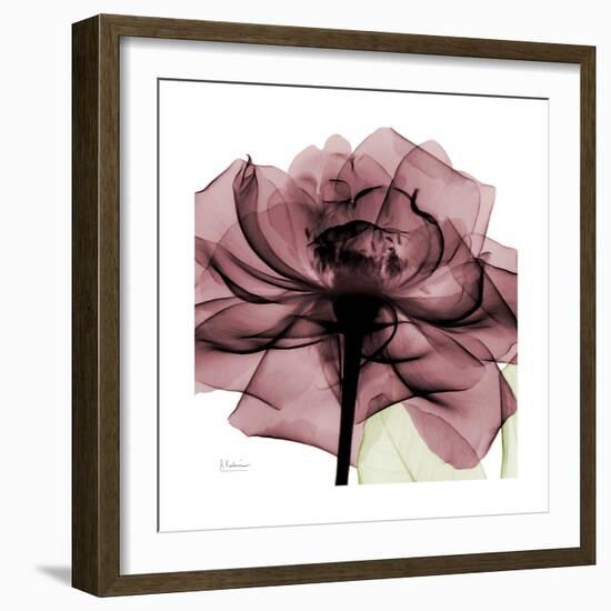 Chianti Rose 2-Albert Koetsier-Framed Premium Giclee Print