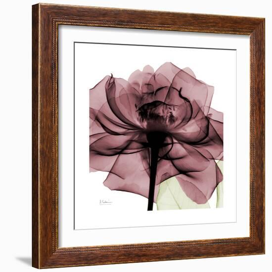 Chianti Rose 2-Albert Koetsier-Framed Premium Giclee Print