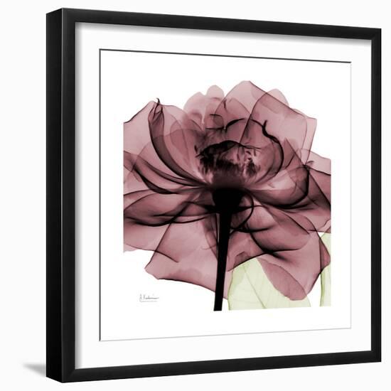 Chianti Rose 2-Albert Koetsier-Framed Premium Giclee Print