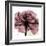 Chianti Rose 2-Albert Koetsier-Framed Premium Giclee Print