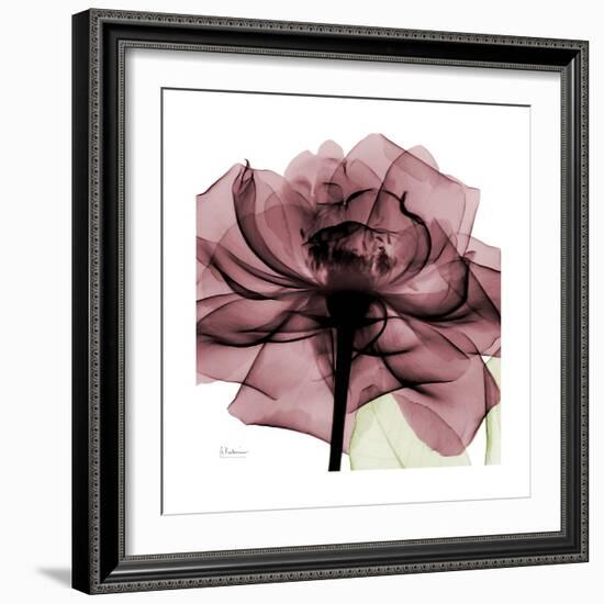 Chianti Rose 2-Albert Koetsier-Framed Premium Giclee Print