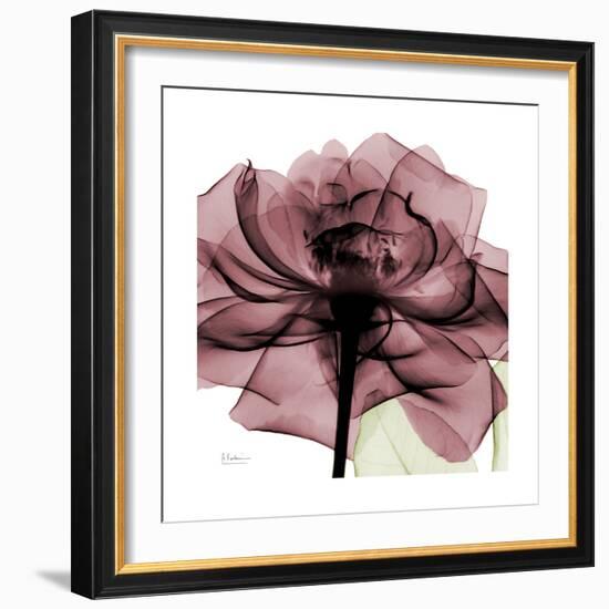 Chianti Rose 2-Albert Koetsier-Framed Premium Giclee Print