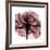 Chianti Rose 2-Albert Koetsier-Framed Premium Giclee Print