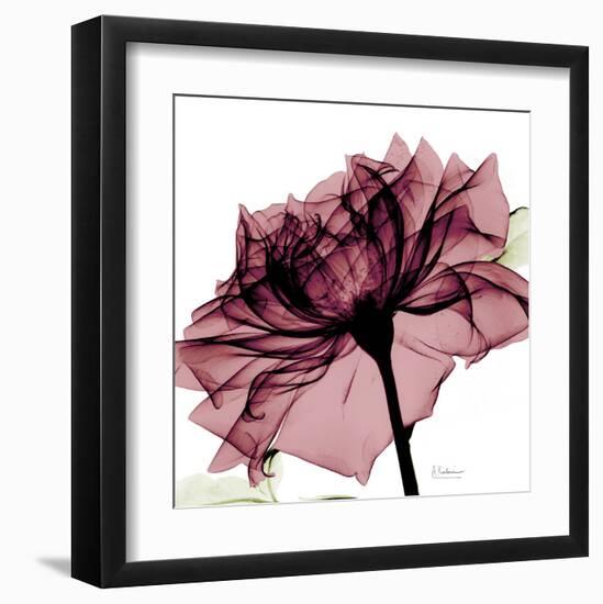 Chianti Rose-Albert Koetsier-Framed Art Print