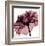 Chianti Rose-Albert Koetsier-Framed Art Print