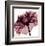 Chianti Rose-Albert Koetsier-Framed Art Print