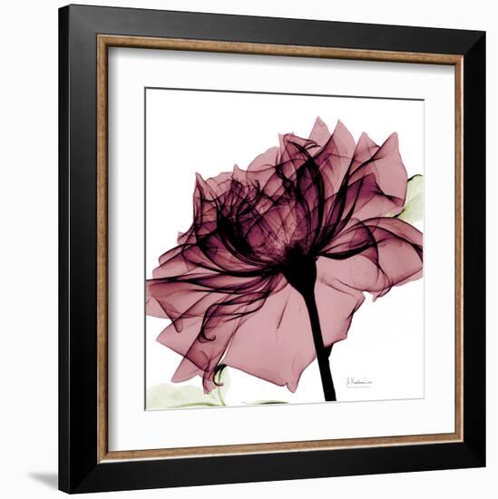 Chianti Rose-Albert Koetsier-Framed Art Print