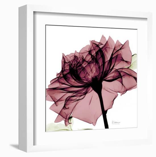 Chianti Rose-Albert Koetsier-Framed Art Print