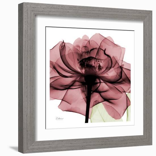 Chianti Rose-Albert Koetsier-Framed Art Print