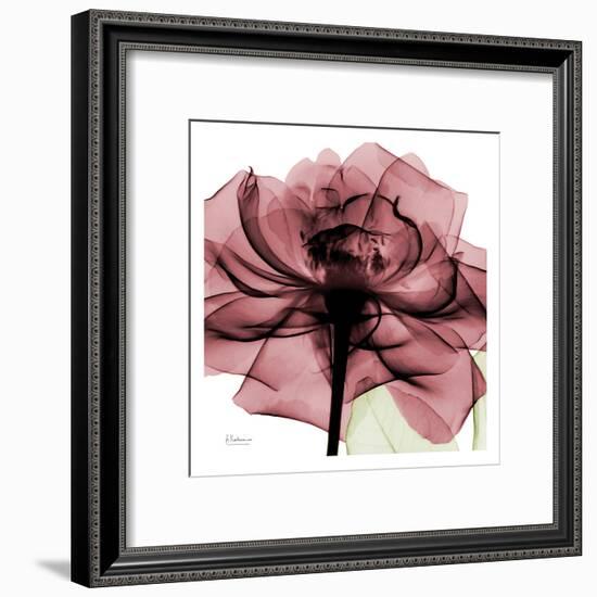 Chianti Rose-Albert Koetsier-Framed Art Print