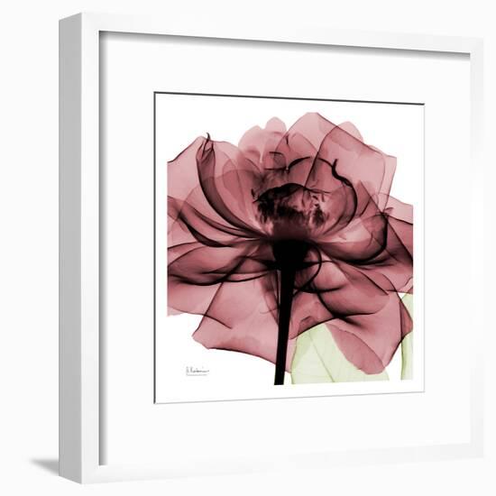 Chianti Rose-Albert Koetsier-Framed Art Print