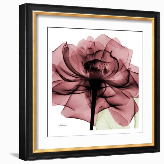 Chianti Rose-Albert Koetsier-Framed Art Print