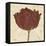 Chianti Tulip-Diane Stimson-Framed Stretched Canvas