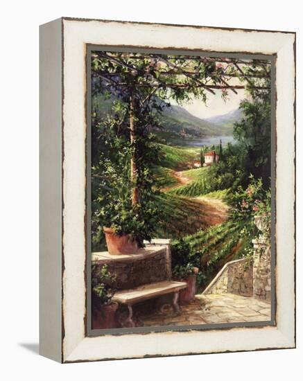 Chianti Vineyard-Art Fronckowiak-Framed Stretched Canvas